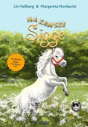 Na Zawsze Sigge Hallberg Lin Książka Mamania