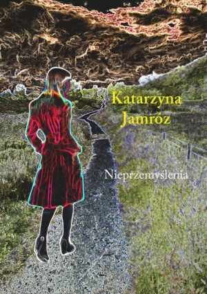 Nieprzemyślenia Jamróz Katarzyna Książka Austeria