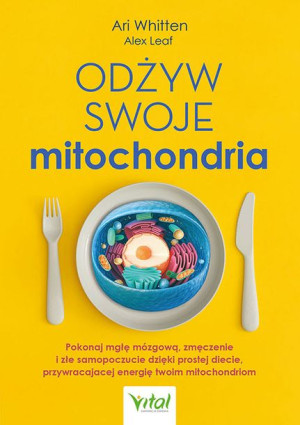 Odżyw Swoje Mitochondria Pokonaj Mgłę Mózgową Zmęc