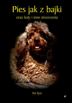 Pies Jak Z Bajki Oraz Koty I Inne Stworzenia