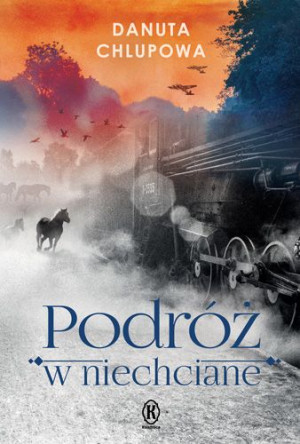 Podróż W Niechciane Chlupowa Danuta Książka
