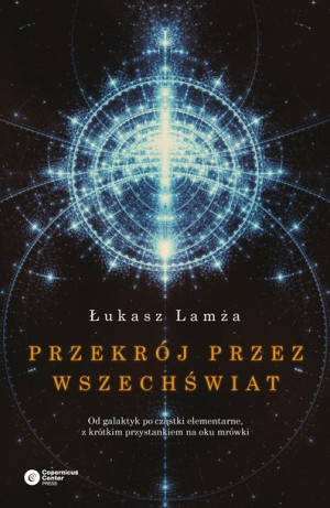 Przekrój Przez Wszechświat Od Galaktyk Po Cząstki