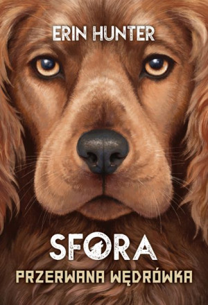 Przerwana Wędrówka Sfora Tom 4 Erin Hunter Książka