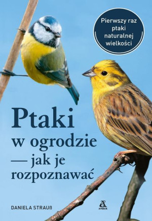 Ptaki W Ogrodzie Jak Je Rozpoznawać Wyd 2023 Amber