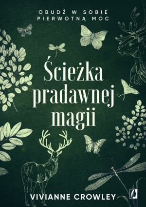Ścieżka Pradawnej Magii Obudź W Sobie Pierwotną