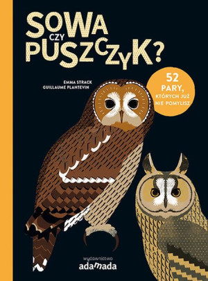 Sowa Czy Puszczyk Strack Emma Plantevin Guillaume