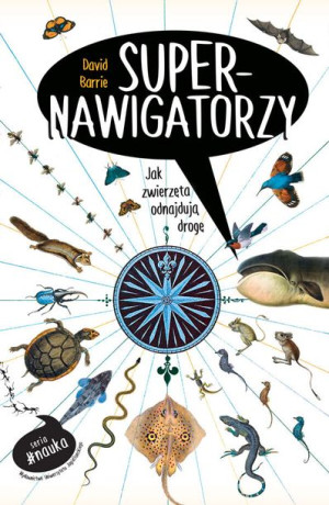 Supernawigatorzy Jak Zwierzęta Odnajdują Drogę