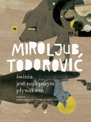 Świnia Jest Najlepszym Pływakiem Todorović Mirolub