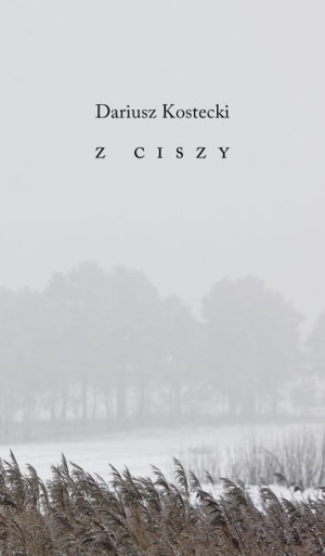 Z Ciszy Kostecki Dariusz Książka Austeria