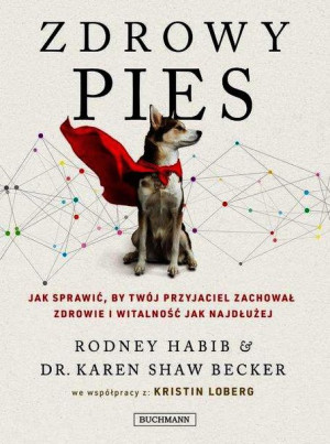 Zdrowy Pies Jak Sprawić By Twój Przyjaciel Zachowa