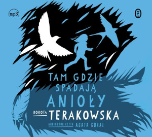 Cd Mp3 Tam Gdzie Spadają Anioły Audiobook Książka