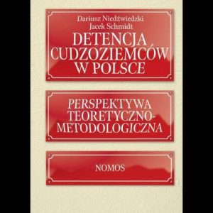 Detencja Cudzoziemców W Polsce Perspektywa Teorety