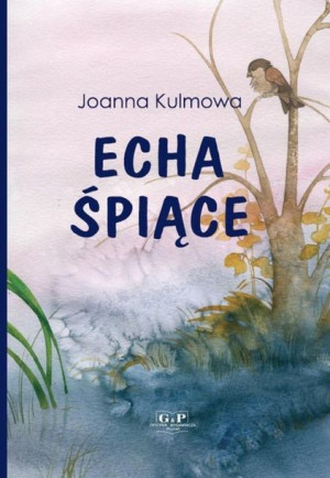 Echa Śpiące Kulmowa Joanna Książka G P