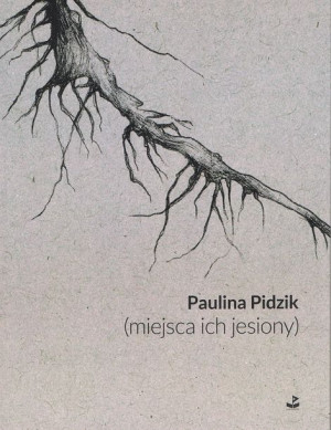 Miejsca Ich Jesiony Pidzik Paulina Książka