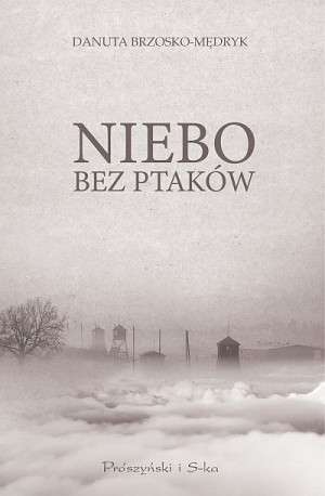Niebo Bez Ptaków Brzosko Mędryk Danuta Książka