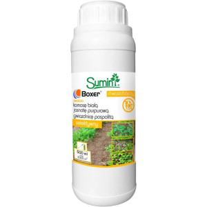 Boxer 800 Ec 500ml Sumin Oprysk Na Chwasty Miotłę