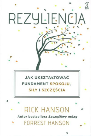 Rezyliencja Jak Ukształtować Fundament Spokoju Sił