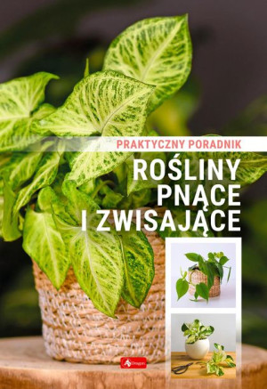 Rośliny Pnące I Zwisające Poradnik Praktyczny