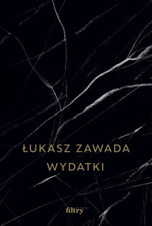 Wydatki Łukasz Zawada Książka Filtry