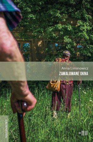 Zamalowane Okna Limanowicz Anna Książka