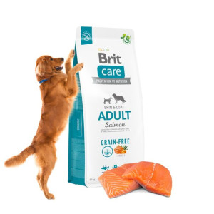 Karma dla Psa Brit Care Sucha Łosoś 12kg