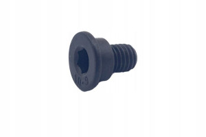 Śruba Mocowania Tarczy Hamulcowej M8*1,25