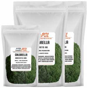 CHLORELLA PROSZEK 2,5kg Algi morskie w proszku