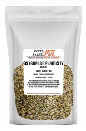 OSTROPEST PLAMISTY ZIARNO 1kg Naturalny świeży