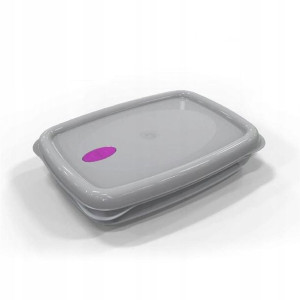 Pojemnik śniadaniowy do żywności 2.5 L FRESKA