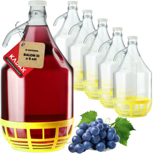 Dama Gąsior 5l Balon W Koszu Na Wino + Korek 6szt