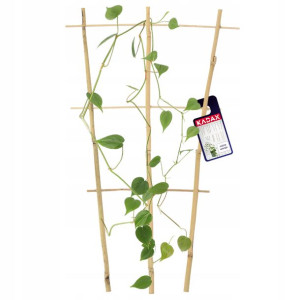 Drabinka Bambusowa Podpora Do Roślin Potrójna 46cm