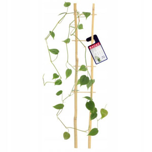 Drabinka Bambusowa Podpora Do Roślin Podwójna 38cm