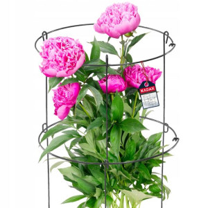 Podpora Ogrodowa Do Roślin Kwiatów Pnączy Róż 60cm