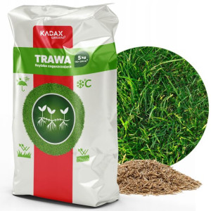 Trawa Uniwersalna Szybko Zagęszczająca 5kg 200m2