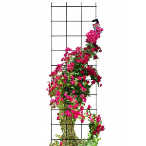 Krata Pergola Ogrodowa Do Roślin Pnących 45x150