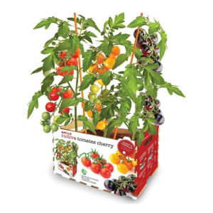 Zestaw do uprawy Batlle Pomidory naturalne 30 x 19,5 x 16,2 cm 2,85 kg