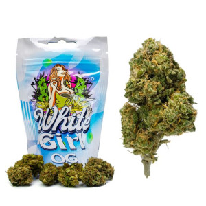 White Girl OG susz konopny CBD