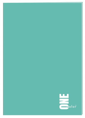 Zeszyt A4 60 Kartek W Kratkę One Color Interdruk
