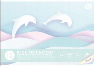 Interdruk Blok Techniczny Kolorowy A4 10 160g