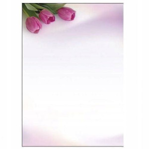 Karton Na Dyplomy A4 Fanfan Argo 233010