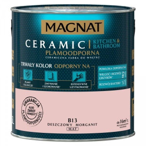 Magnat Kuchnia-łazienka B13 Deszczowy Morganit2,5l