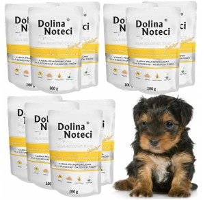 DOLINA NOTECI JUNIOR MINI Żołądki Kurczaka 10x100g