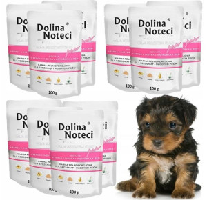 DOLINA NOTECI JUNIOR MINI Serca Indyka 10 x100g