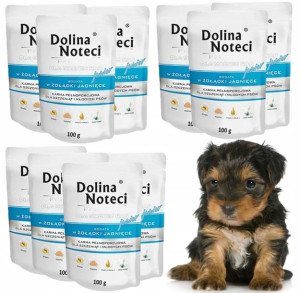 DOLINA NOTECI JUNIOR MINI Żołądki Jagnięce 10x100g
