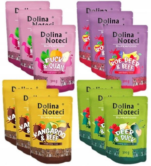DOLINA NOTECI Superfood MIX SMAKÓW Zestaw 12x 300g