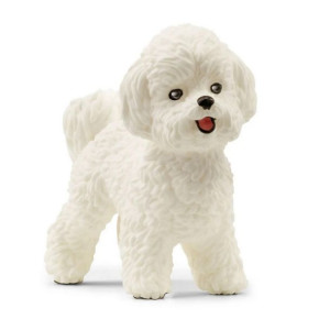 Slh 13963 Pies Bichon Frise 27611