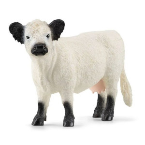 Slh 13960 Krowa Rasy Galloway 78255