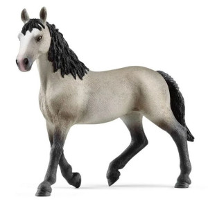 Slh 13955 Klacz Rasy Cheval De Sel 52255