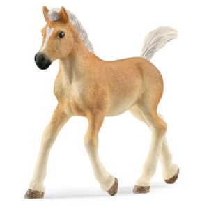 Slh 13951 Źrebak Rasy Haflinger 57519