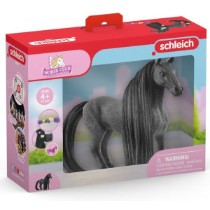Slh 42581 Klacz Criollo 74363